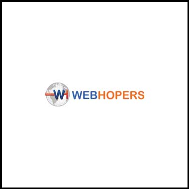 web-hopers-it-company-chandigarh
